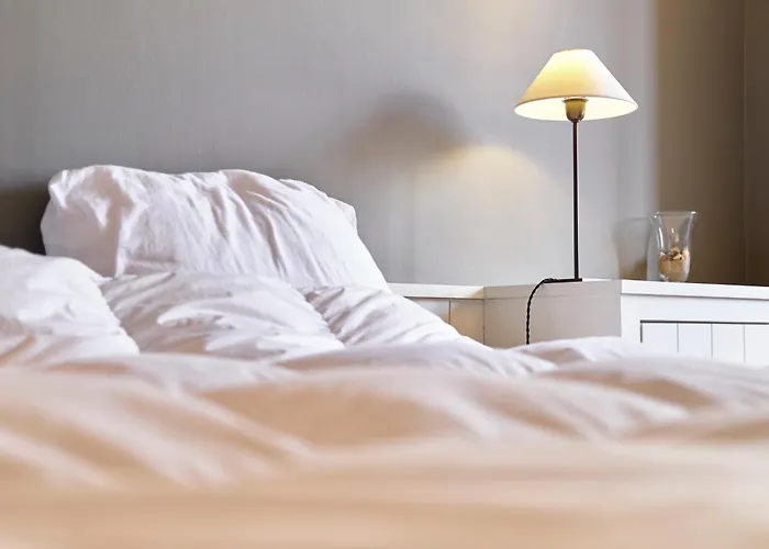 公寓 Lecomte - The Shoreline Seaview 118 奥斯滕德